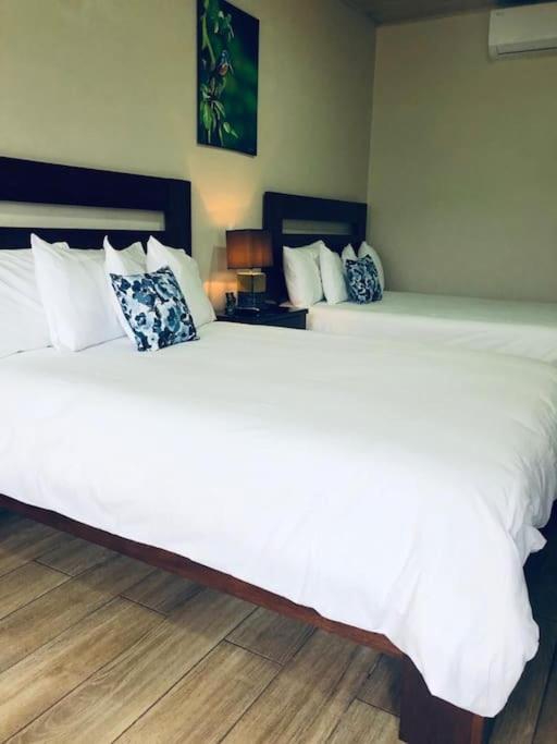 Lisa Loft Boutique Apartment La Fortuna Екстериор снимка