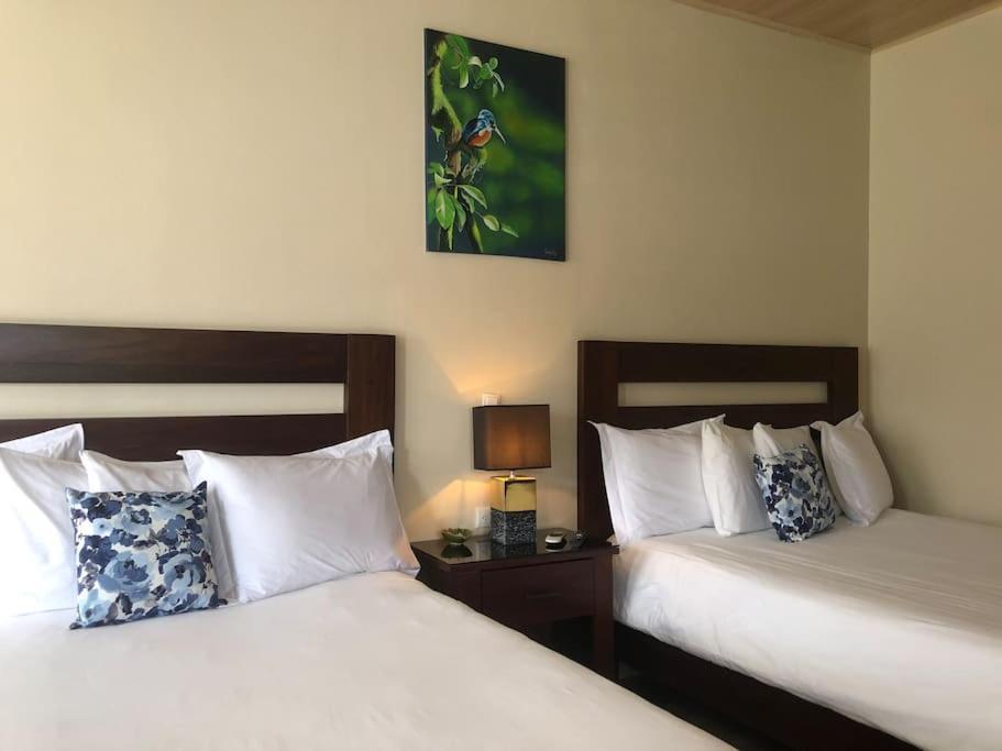 Lisa Loft Boutique Apartment La Fortuna Екстериор снимка